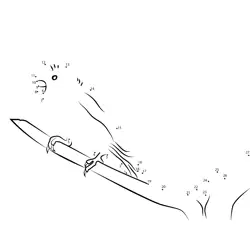 Discover the Parrot Shape Dot to Dot Worksheet