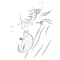 Parakeet Numerical Challenge Dot to Dot Worksheet