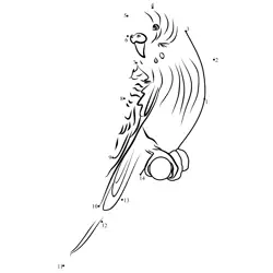 Parakeet Follow The Numbers Dot to Dot Worksheet