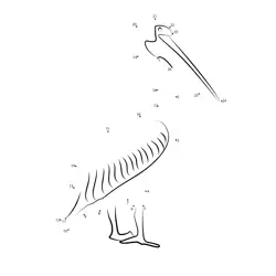Great White Pelican Creature Dot to Dot Worksheet