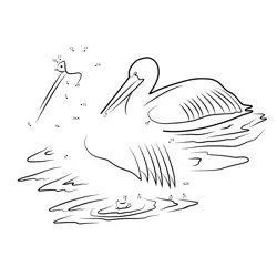 Aquatic Pelican Numeric Fun Dot to Dot Worksheet