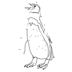 Antarctic Bird Challenge Dot to Dot Worksheet