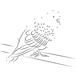 Graceful Pigeon on Branch Dot to Dot Worksheet