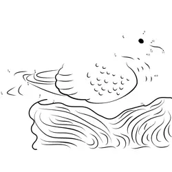 Pigeon Resting in Nest Dot to Dot Worksheet