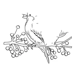 Sparrow on Berry Branch Dot to Dot Worksheet