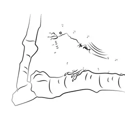Little Sparrow Perched on Branch Dot to Dot Worksheet
