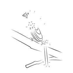 Sparrow Perched on Branch Dot to Dot Worksheet