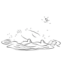 Swan Family Water Journey Dot to Dot Worksheet