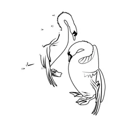 Romantic Swans Waterfowl Pair Dot to Dot Worksheet