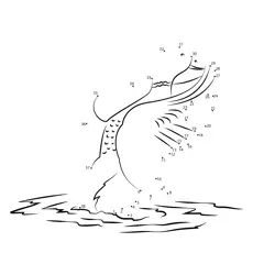 Graceful Waterfowl Numeric Challenge Dot to Dot Worksheet