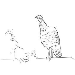Wild Turkey Formation Challenge Dot to Dot Worksheet