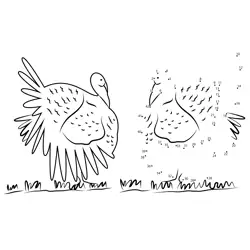 Large Feathered Fowl Game Dot to Dot Worksheet