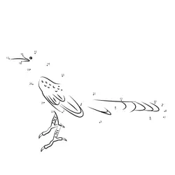 Long-tailed Grackle Shape Dot to Dot Worksheet