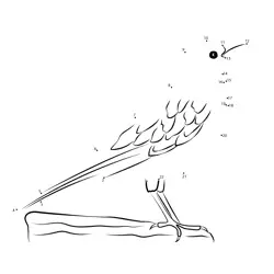 Wild Bird Shape Formation Dot to Dot Worksheet