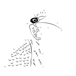 Magnificent Ground Hornbill Creation Dot to Dot Worksheet