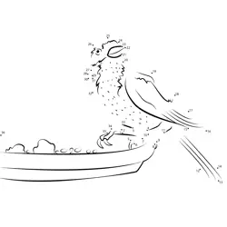 Spotted Woodpecker Perched Creation Dot to Dot Worksheet