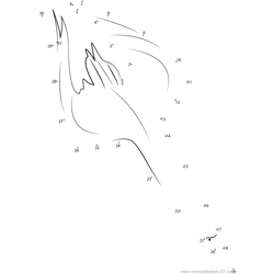 Blue Footed Booby Diving for Fish Dot to Dot Worksheet