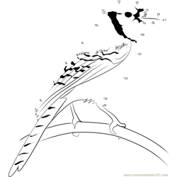 Male Perching on Pole Blue Jay Dot to Dot Worksheet