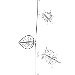 Botanical Leaf Journey Dot to Dot Worksheet
