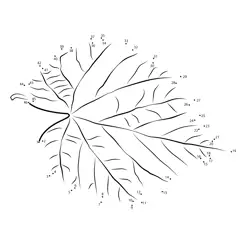 Heart Leaf Point Sequence Dot to Dot Worksheet