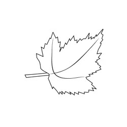 Single Autumn Leaf Contour Dot to Dot Worksheet