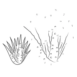 Aloe Vera Botanical Shape Dot to Dot Worksheet