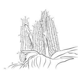 Growing Cereal Crop Structure Dot to Dot Worksheet