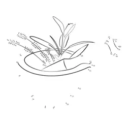 Numerical Botanical Challenge Dot to Dot Worksheet