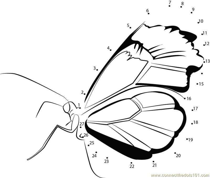 Butterfly Dot To Dot Printable - Free Printable Templates
