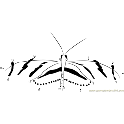 Monarch Butterfly Dot to Dot Worksheet