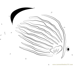 Polyp Butterflyfish Dot to Dot Worksheet
