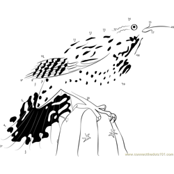The Coastal Cactus Wrens Dot to Dot Worksheet