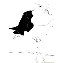 Close up Seagull on 1 leg Dot to Dot Worksheet