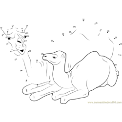 Baby Camel With Mother Dot to Dot Worksheet