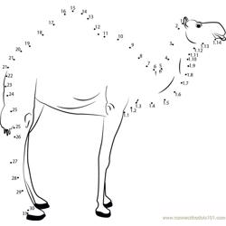 Camel Side Pose Dot to Dot Worksheet