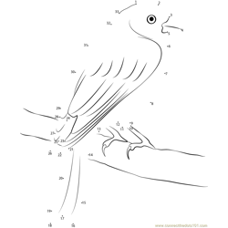 Canary Bird on Tree Branch Dot to Dot Worksheet