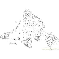 Common Carp Fish Dot to Dot Worksheet