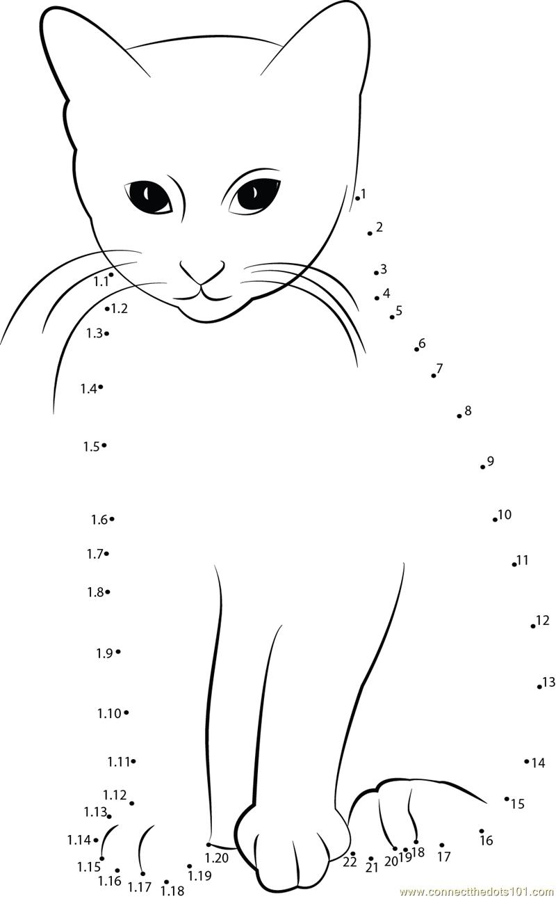 Smart Cat dot to dot printable worksheet Connect The Dots