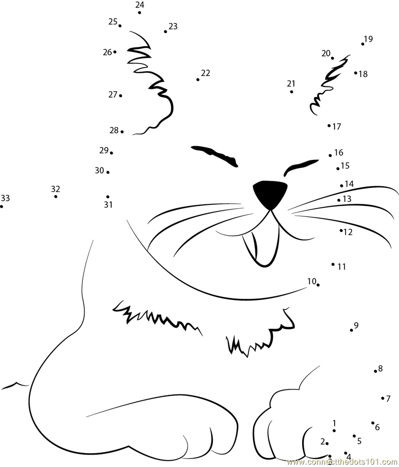 dwarf kitten lil bub cat dot to dot printable worksheet - Connect The Dots