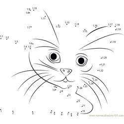 Cat In Shock Dot to Dot Worksheet