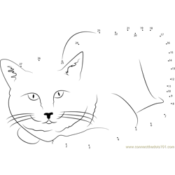 Cat Sedation Dot to Dot Worksheet