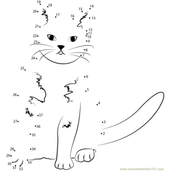 Cat Show Heinola Dot to Dot Worksheet