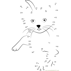 Cat play Dot to Dot Worksheet