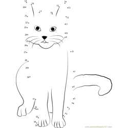 Cat stock by Tigg Dot to Dot Worksheet