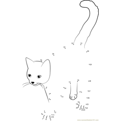 Cute Cat Dot to Dot Worksheet