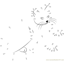 Cute Kitty Dot to Dot Worksheet