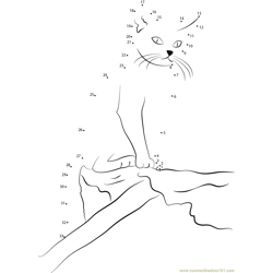 Connect the Dots by Numbers To Draw the Cat. Dot To Dot Education Game and  Coloring Page with Cartoon Cute Kitten Character Stock Vector -  Illustration of drawing, kids: 266886256