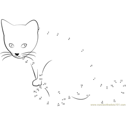 Six weeks old cat Dot to Dot Worksheet