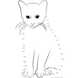 Smart Cat Dot to Dot Worksheet