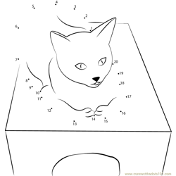 cat on box Dot to Dot Worksheet